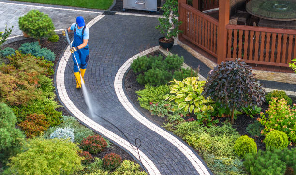 Best Roof Power Washing Services  in Nicholasville, KY